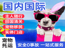 桃仙航空托运国际宠物托运 【国